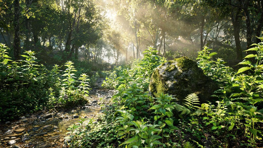 How to Get Stinging Nettle Enshrouded: 2026 Easy Farming Guide