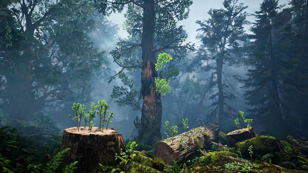 Do Trees Respawn in Enshrouded? Full Guide to Sustainable Resource Gathering